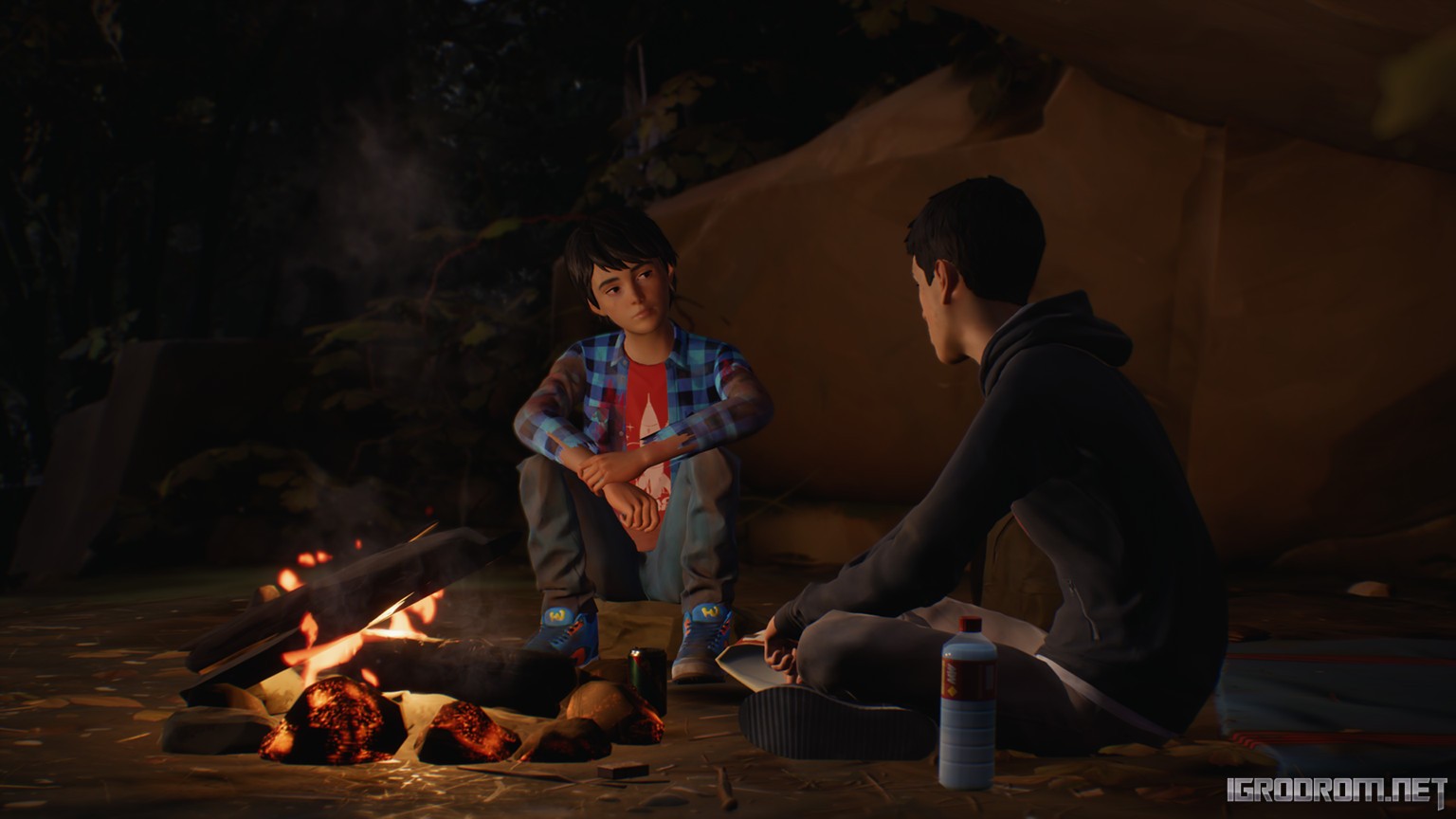 Life is Strange 2 – обзор, дата выхода, геймплей, разработка, сюжет -  Игродром