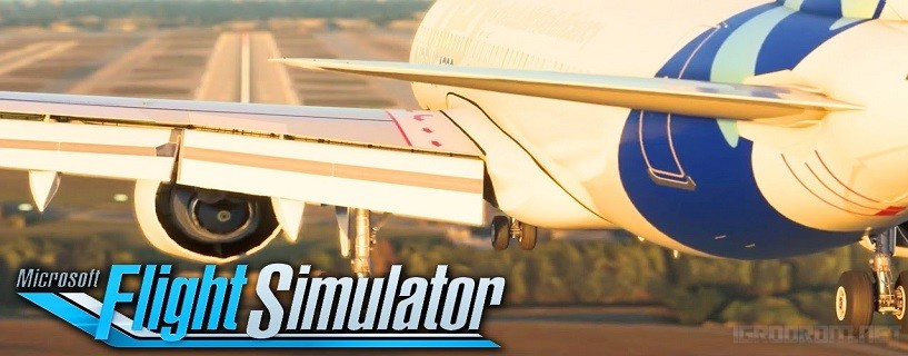 Microsoft Flight Simulator