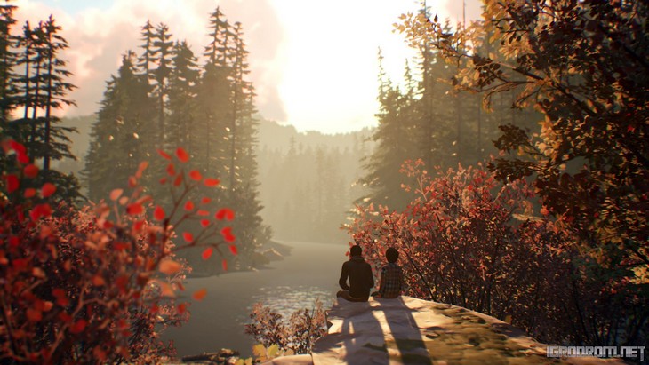 Life is Strange 2: Второй эпизод выйдет в январе 2019 года